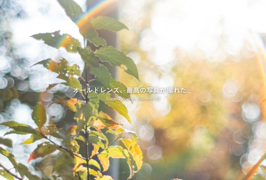 初のオールドレンズ、最高の写真が撮れた…［SuperTakumar 55mm作例