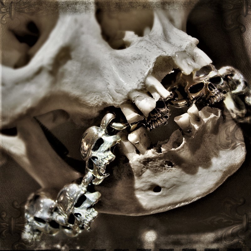 Evil skull link bracelet