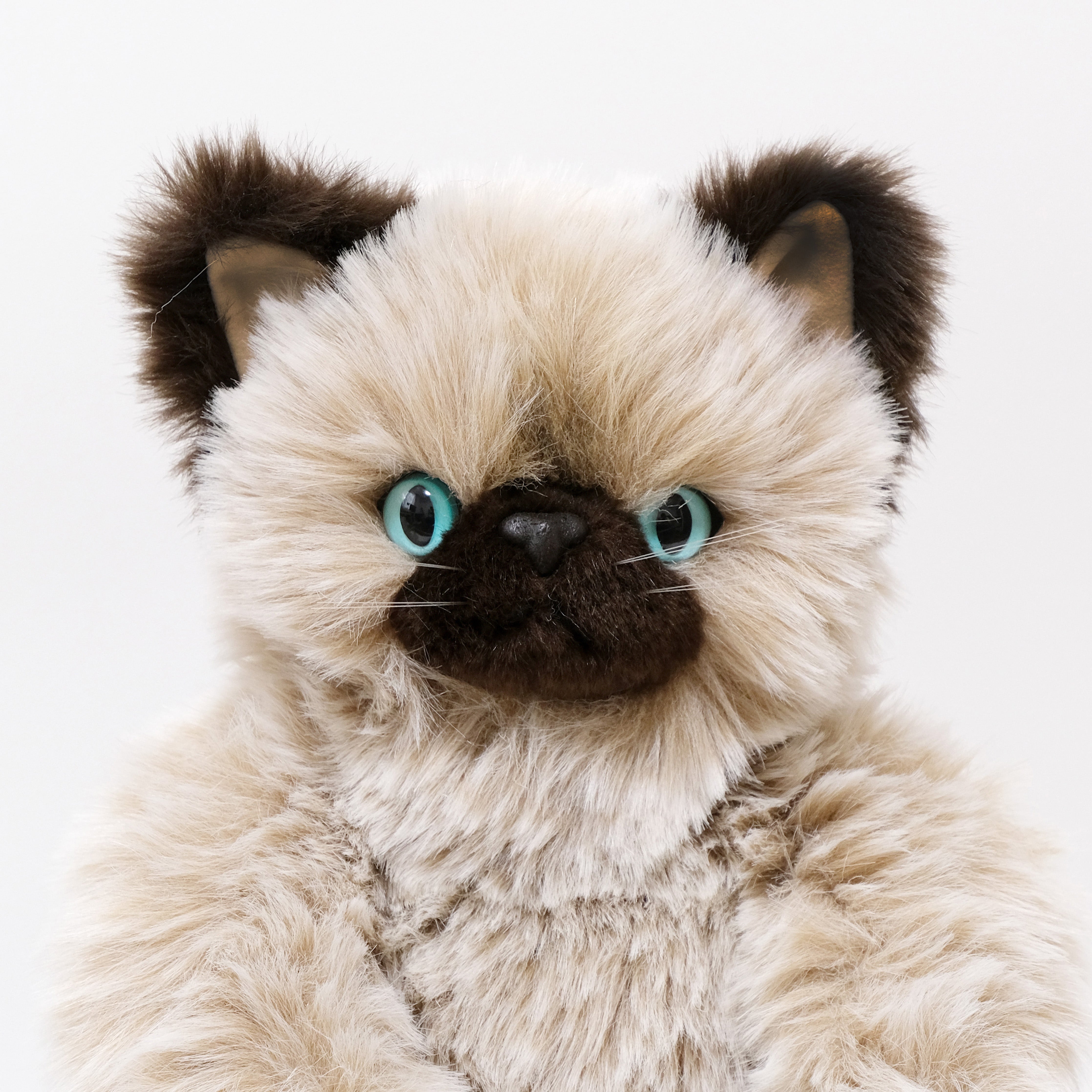 ベル Bell 猫のぬいぐるみ – Cuddly公式オンラインショップ