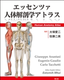 基礎系テキスト(1／2ページ)／シリーズから探す／教科書／南江堂