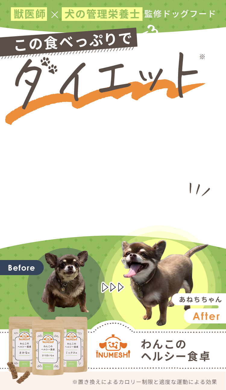 公式】わんこのヘルシー食卓｜獣医師×犬の管理栄養士監修のダイエット