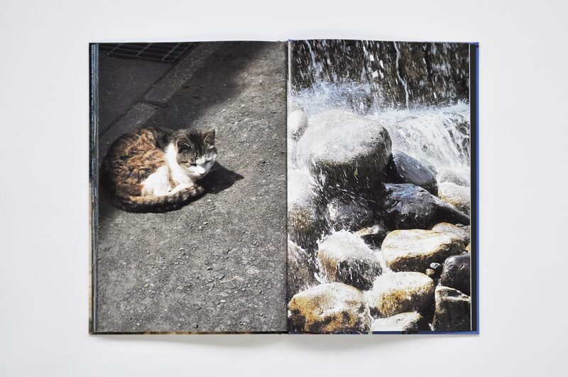 Documentary - 中平卓馬| moom bookshop - 藝術書籍與雜誌