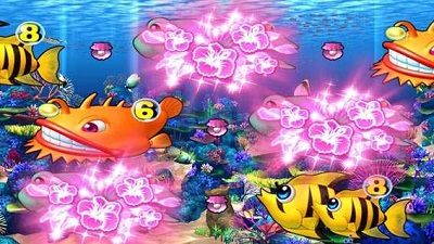 Pスーパー海物語 IN 沖縄5｜ぱちんこ｜HAZUSE DATA｜実践に役立つ