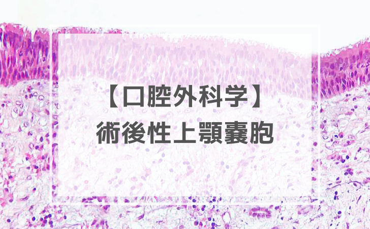 口腔外科学：術後性上顎嚢胞（計8問）【歯科医師国家試験】（2026年1月
