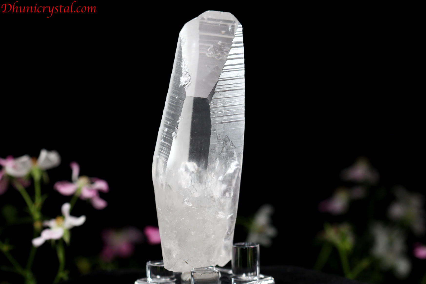 レムリアンシードクリスタル/ポイント(D557)