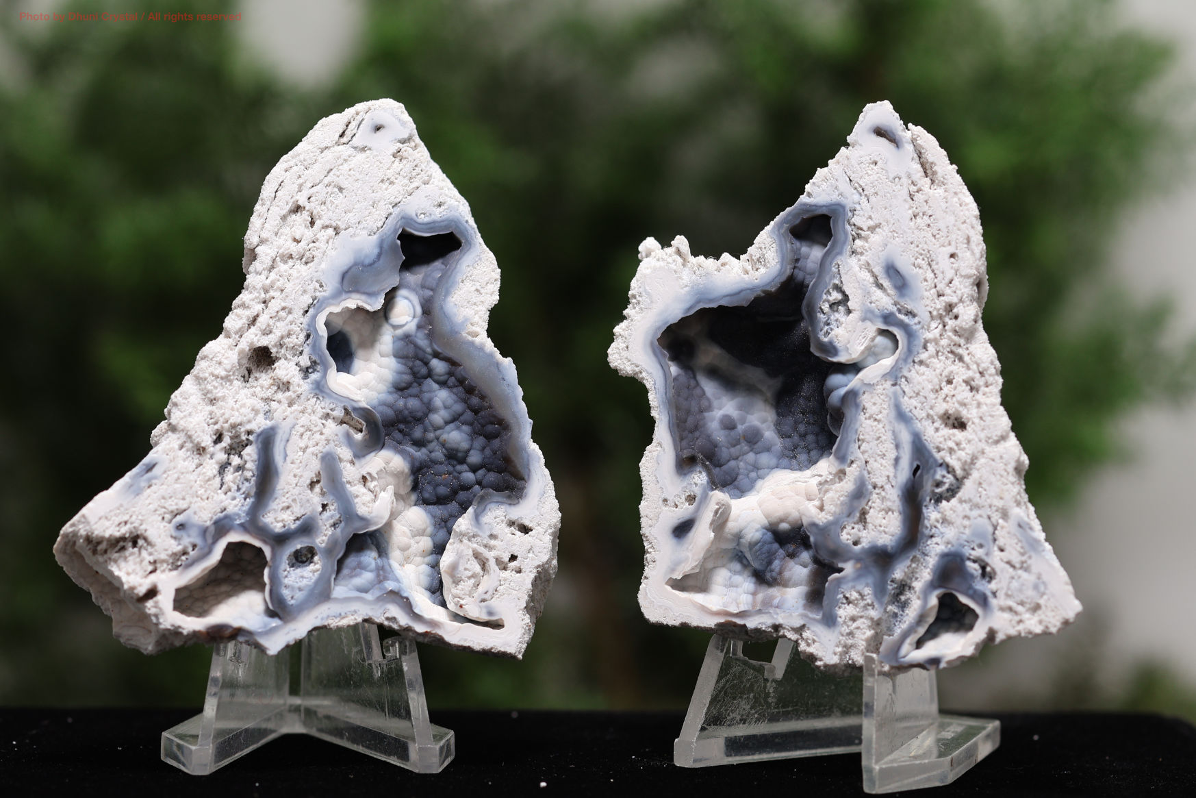 アゲート化サンゴ｜珊瑚の化石が瑪瑙化した天然石・グラウンディング