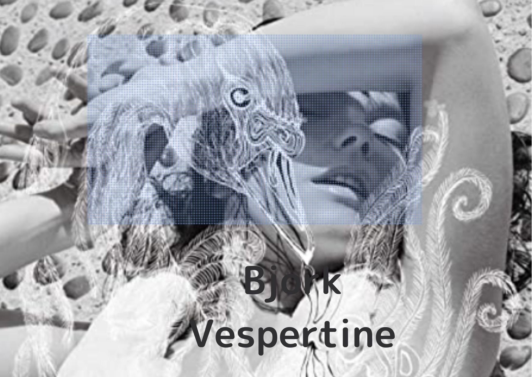 ビョーク/ヴェスパタイン(Bjork/Vespertine) | Discジャンキーズ