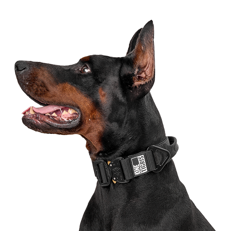 Cobra Buckle Dog Collar – Tactical Heavy Duty Collar with Handle