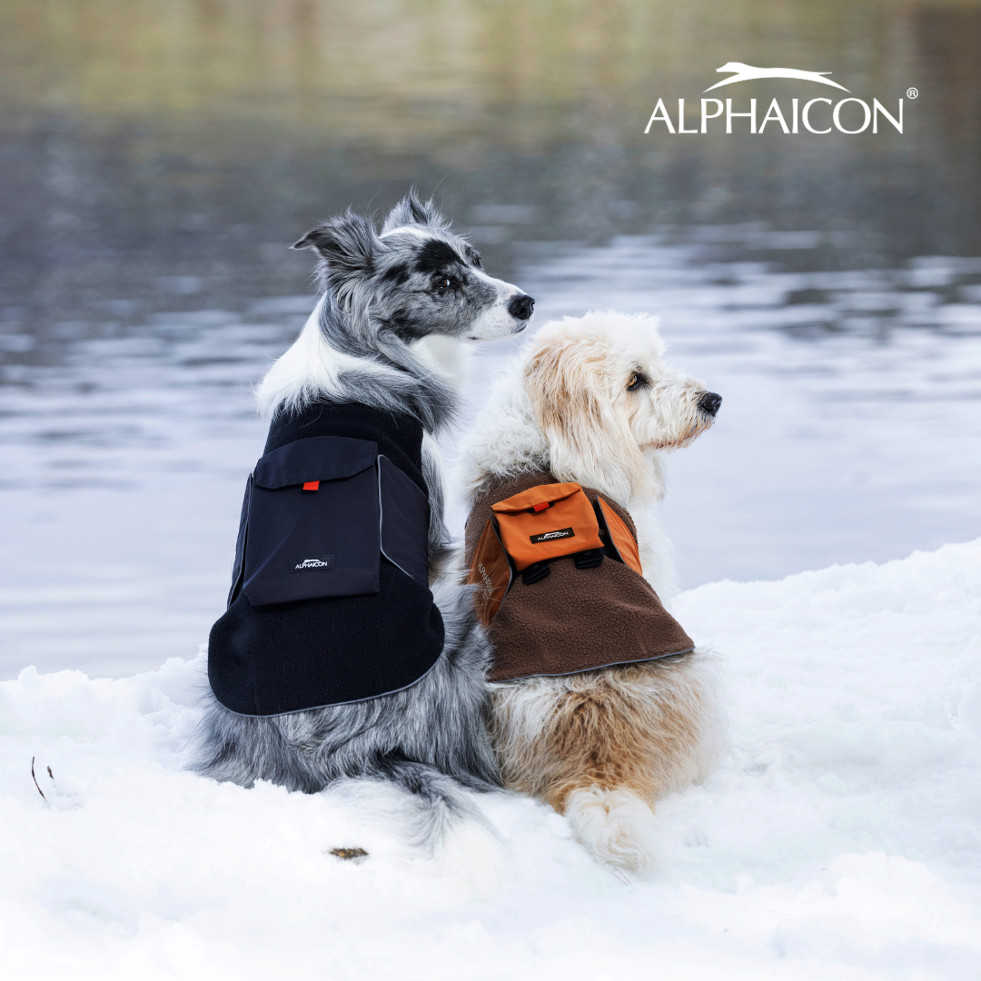 ALPHAICON | DOG Friendly Festa公式サイト