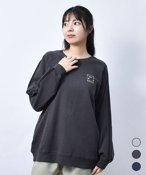 サイズL: | drug store'sWEB（ドラッグストアーズウェブ）