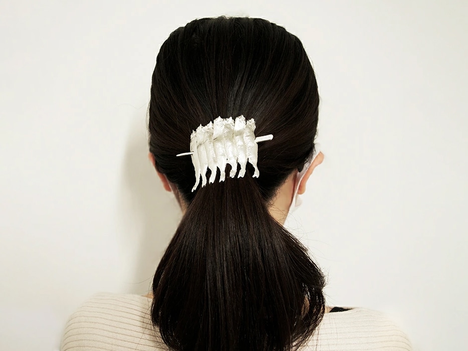 ししゃも串刺しかんざし: せとうちエリア│DISCOVER WEST mall 【JR