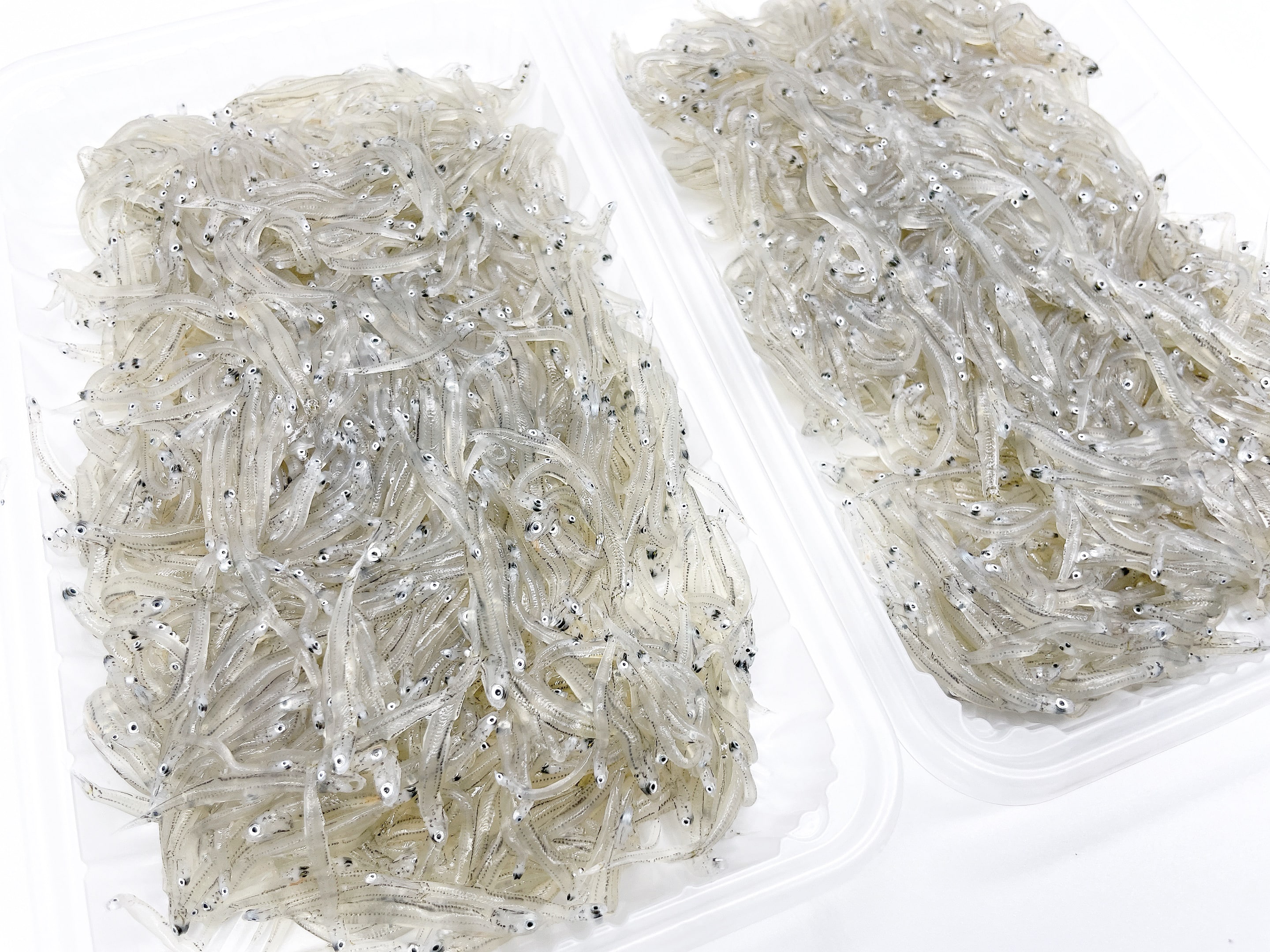 増富商店 冷凍生しらす 100g×2p: 近畿エリア│DISCOVER WEST mall