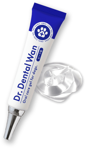 ドクターデンタルワン｜サンテミナ