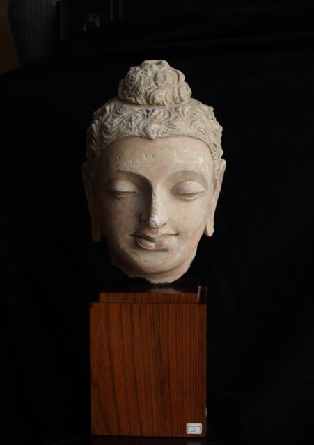 ガンダーラ美術 ストゥッコ 仏頭 X573｜骨董店 のびる 古美術 骨董