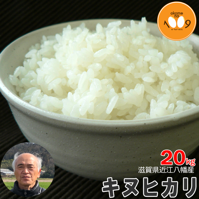 新米 滋賀県近江八幡産 キヌヒカリ 玄米 20kg 産地直送 令和7年産 内野