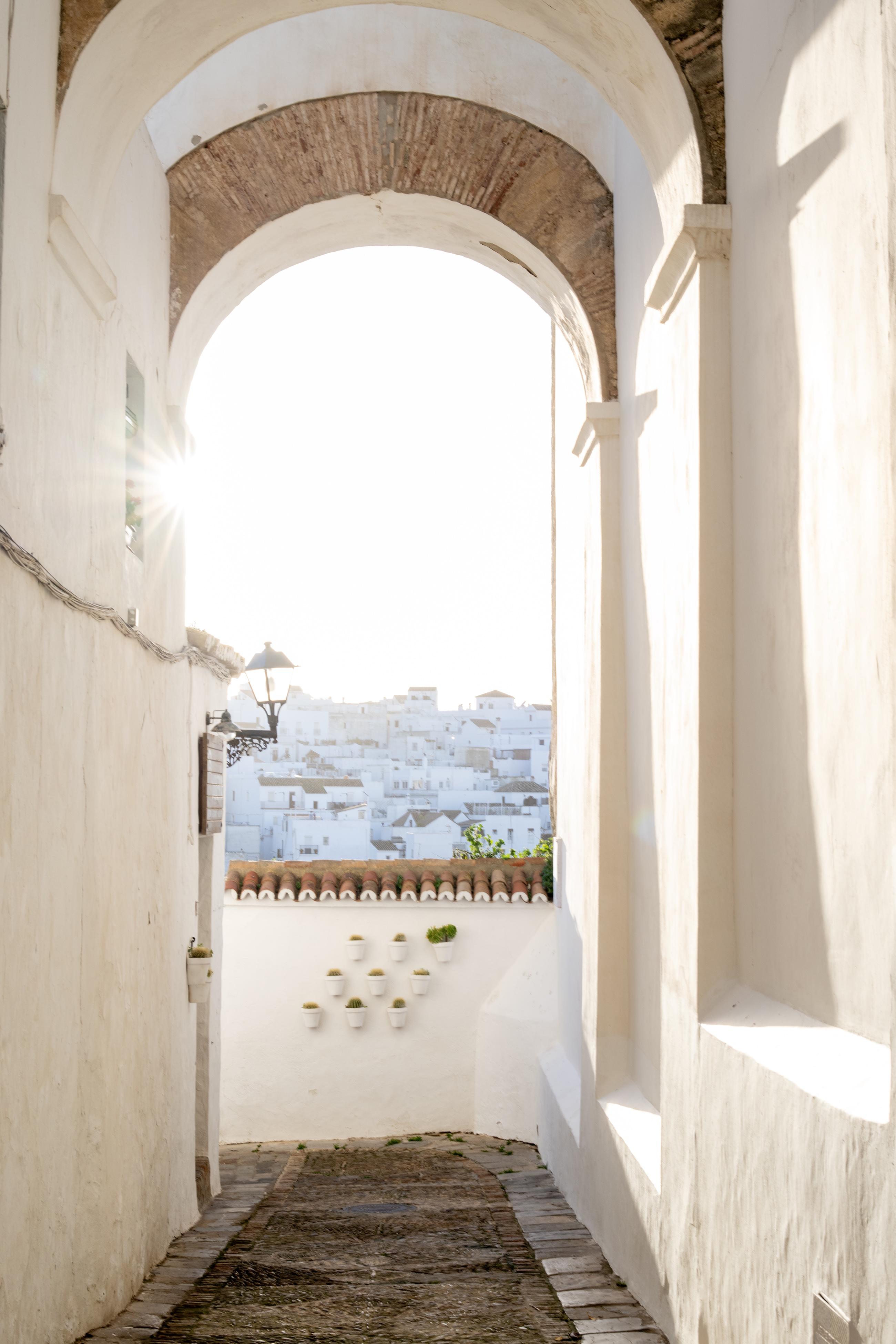 News | ebure(エブール)