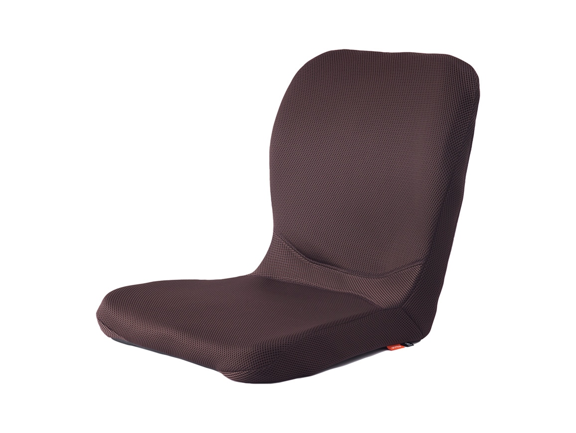 pinto 置くだけラクッションビューティー Hi（専用カバー付き