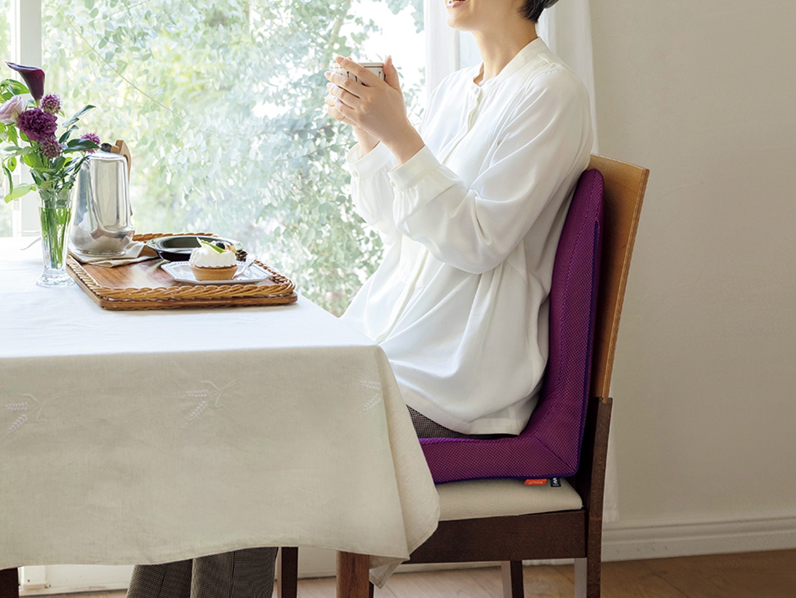 pinto 置くだけラクッションビューティー Hi（専用カバー付き