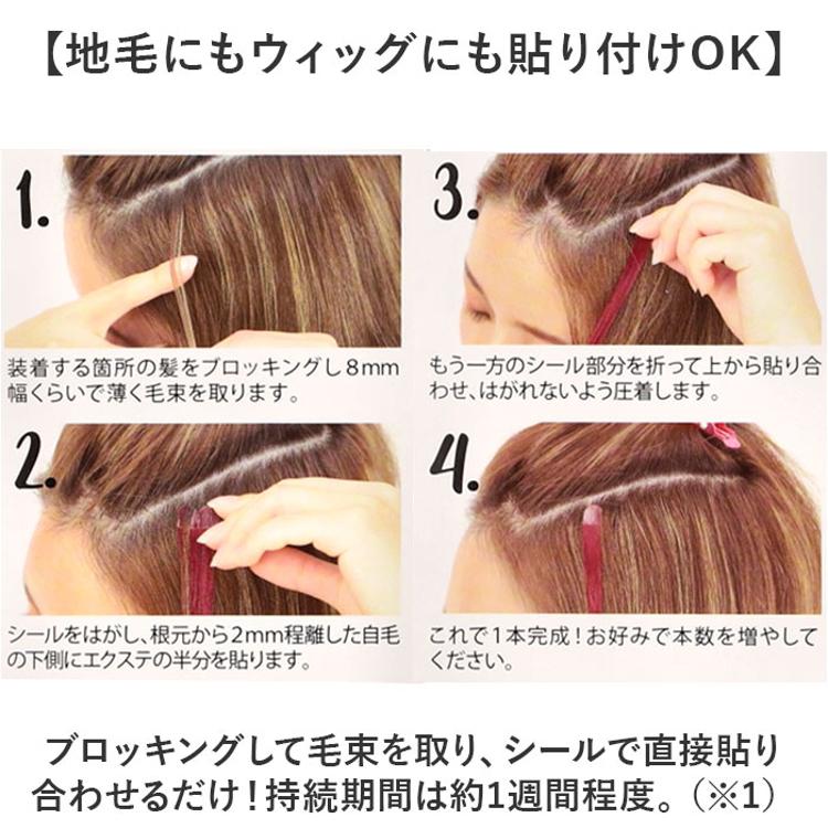 シール エクステ セルフ 通販 シールエクステ プリシラ SX-01 prisila