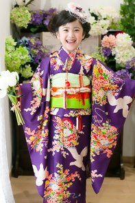 7歳七五三レンタル アンティーク復刻 幸福鳩 紫