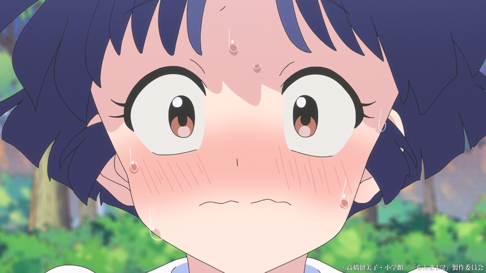 TVアニメ『らんま1/2』2期1話のあらすじ公開！ 乱馬の弱点が偶然の事故