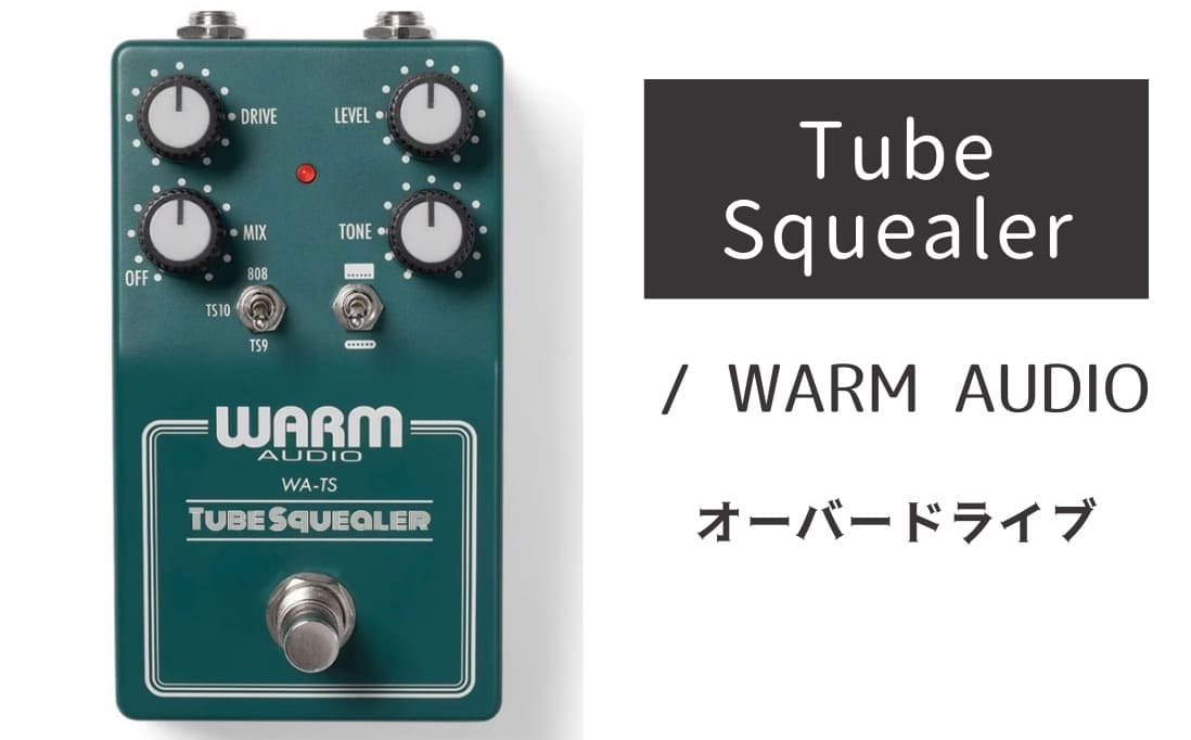 WARM AUDIO 「Tube Squealer」レビュー：大満足！TS系のハッピーセット