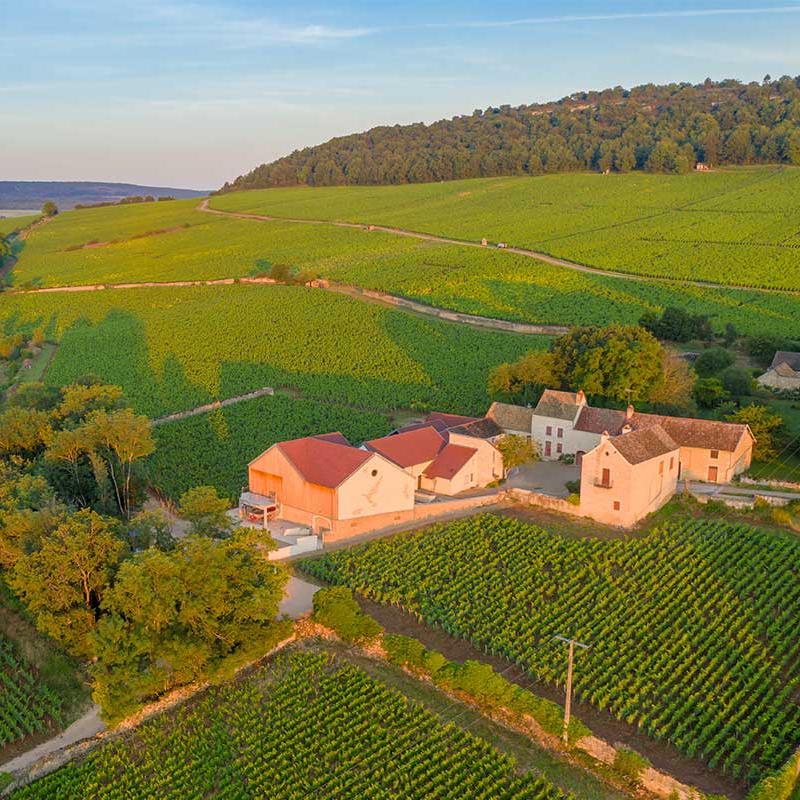 ドメーヌ・コンテス・ド・シェリゼ DOMAINE COMTESSE DE CHERISEY