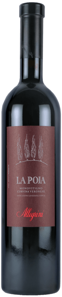 10年超熟成の掘り出し物多数「イタリアバックヴィンテージ