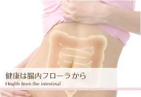 MSコーポレーション