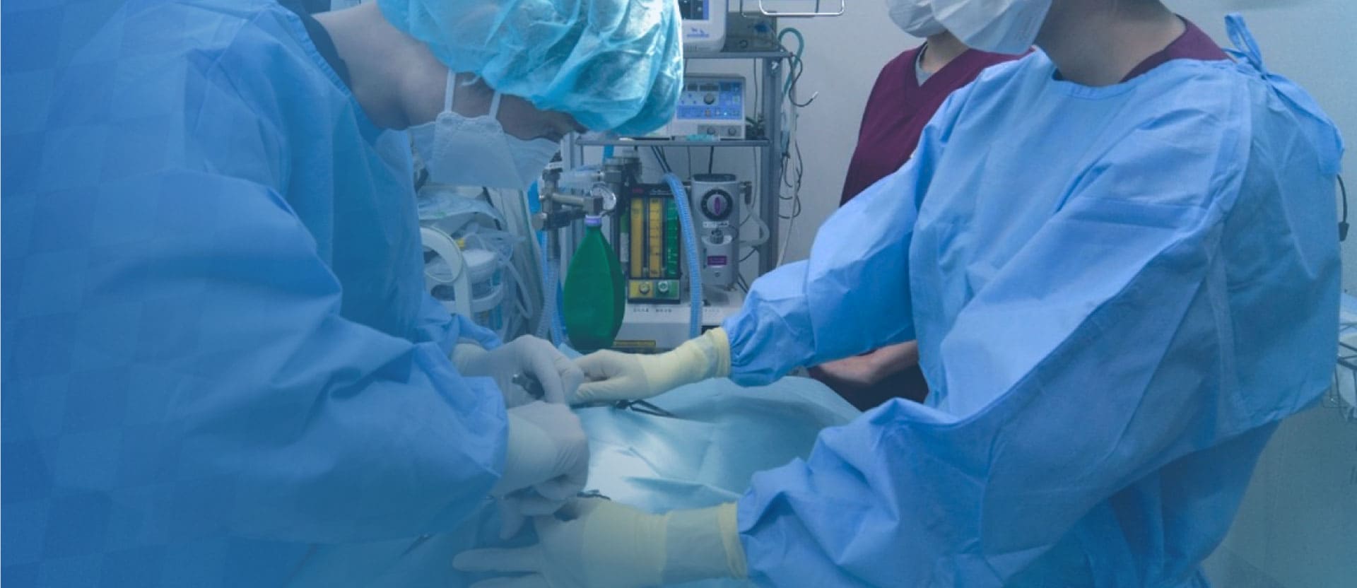 ESSE動物病院|高度な腫瘍の診断・治療