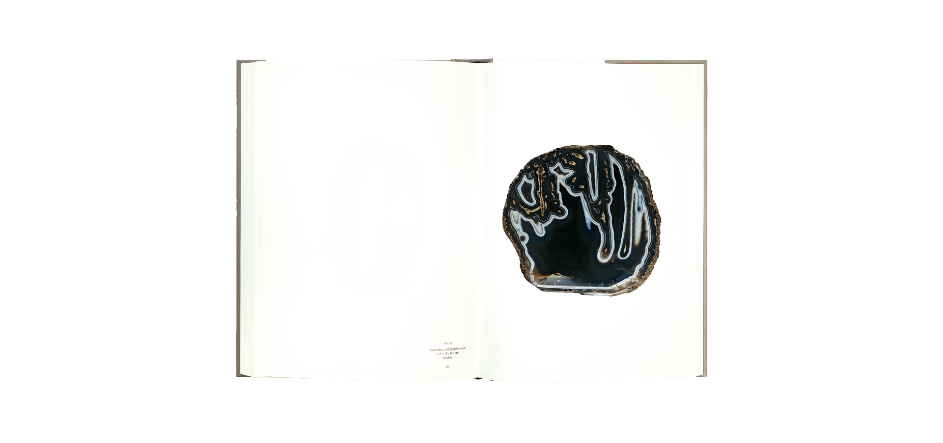 Roger Caillois, la lecture des pierres - Atelier EXB