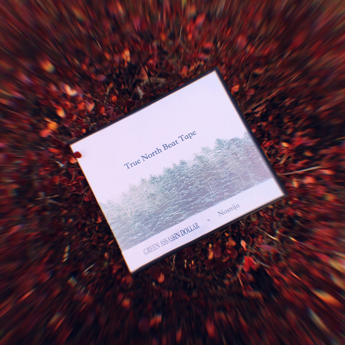 TRUE NORTH BEAT TAPE | GREEN ASSASSIN DOLLAR & Nosnija | GREEN