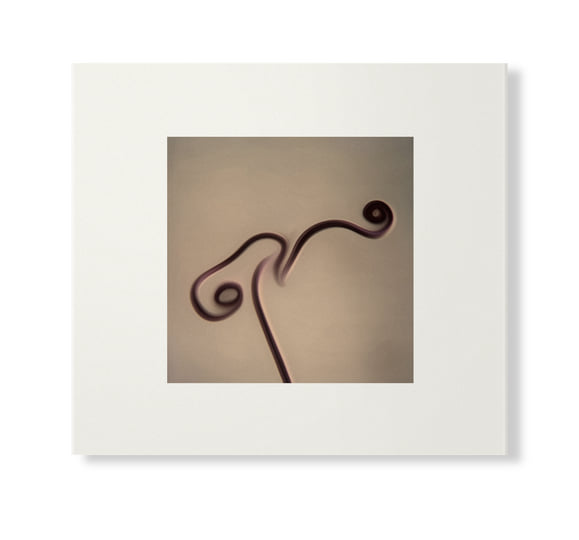 Image 1983-1998 (Skintone Edition) | Susumu Yokota