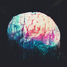 first draft e.p. | stargaze shelter