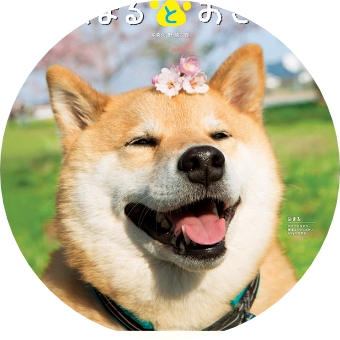 白石隼也 2014年 カレンダー サイン入り 白石隼也 2025年カレンダー