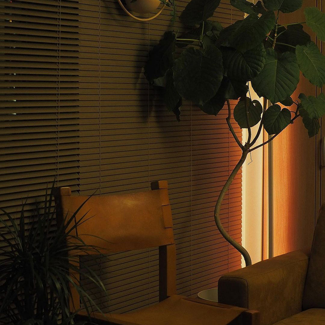 照明 – Fancy Lama