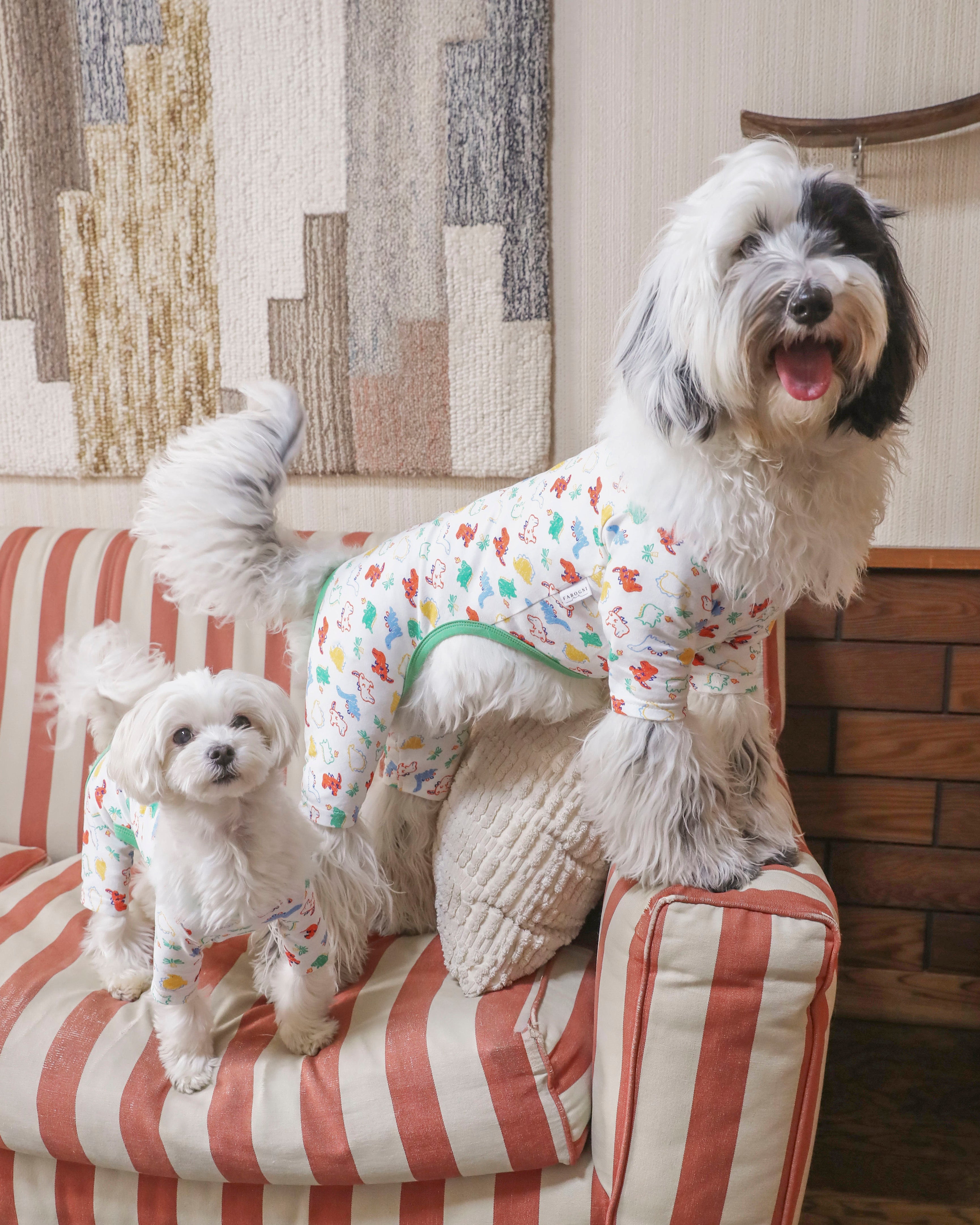 犬 恐竜柄ロンパース【FABOGNI(ファボンニ)】Cotton Rompers (dinosaur