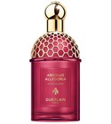 Ambre Samar Guerlain 香水- 一款2025年新的中性香水