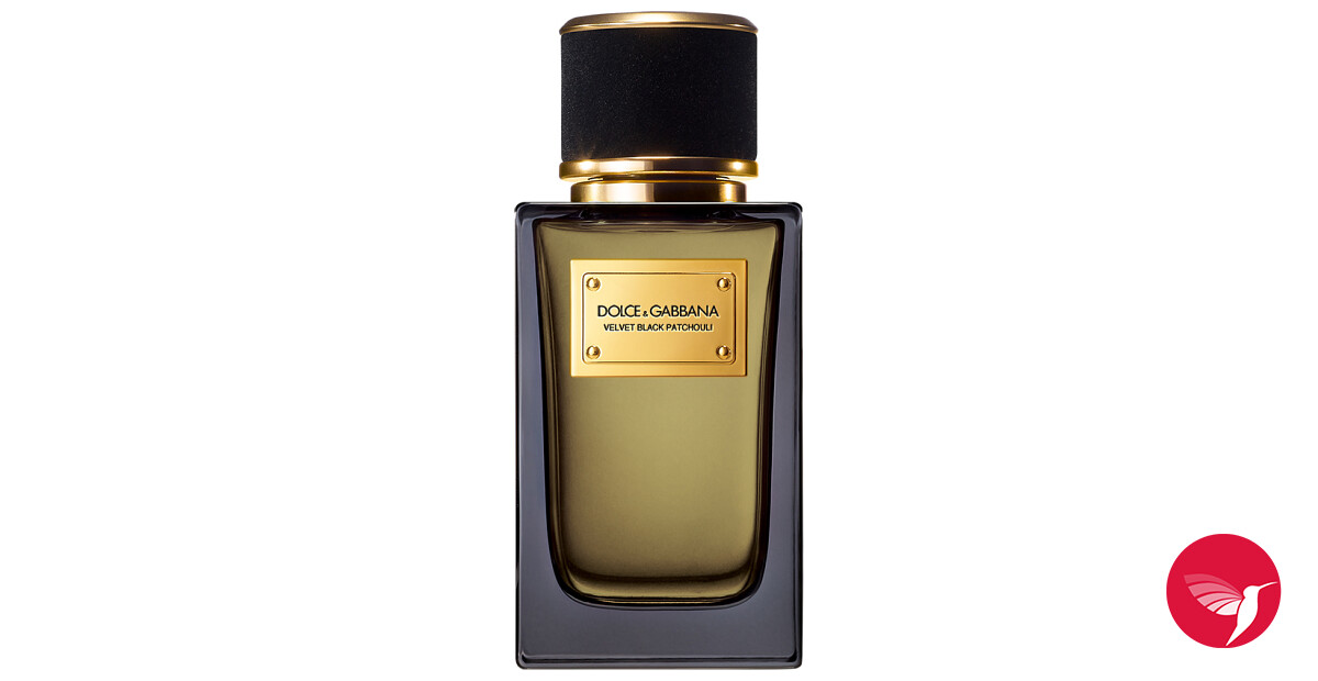 Velvet Black Patchouli Dolce&Gabbana perfume - a fragrance for
