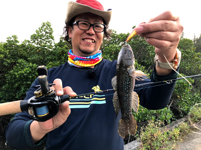 CANARIA C48UL(カナリア48・ベイト) - Fin‐ch