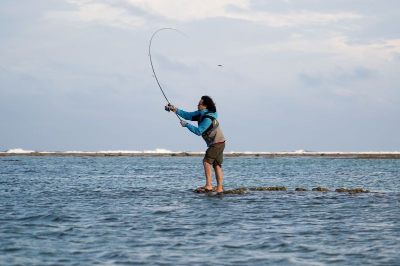 WOLF EVOLVE Type beat 花緑青（ウォルフエヴォルヴタイプビートはな