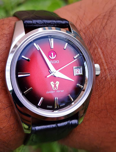 Owner Review: Rado Golden Horse 1957 Limited Edition - FIFTH WRIST