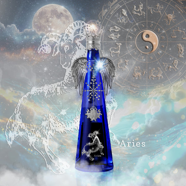 2026 NEW YEAR COLLECTION – FILLICO ONLINE SHOP