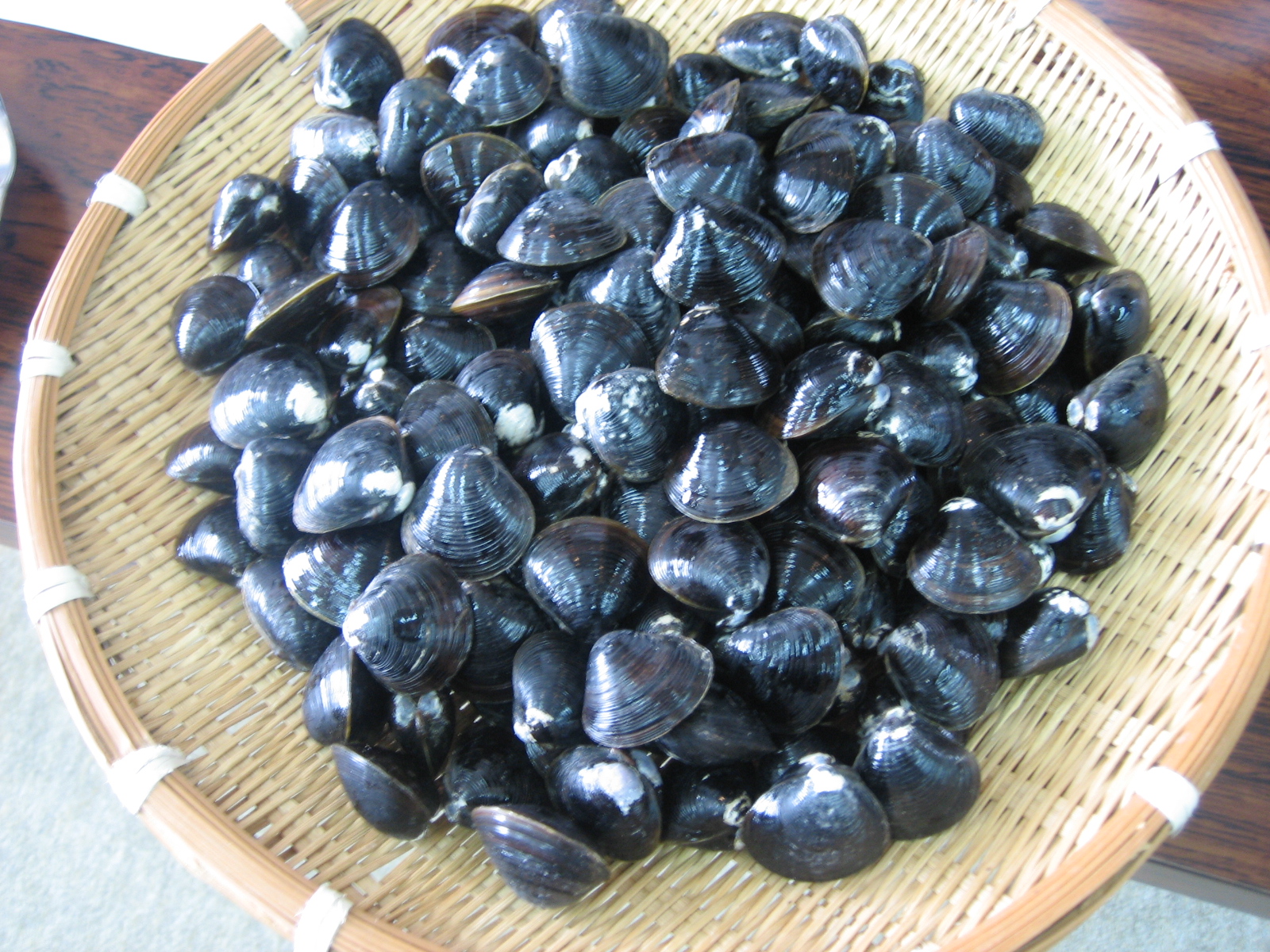 しじみ | 青い森の食材研究会