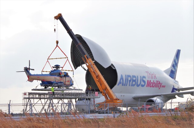 ベルーガ” 再び日本に！ヘリ輸送で飛来 5月2週目に神戸へ | FlyTeam