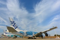 3機揃って笑顔 ANA A380「フライング・ホヌ」 本格稼働の出番待つ