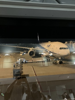 機体記号 : JA717A (ANA) 航空機体ガイド | FlyTeam(フライチーム)