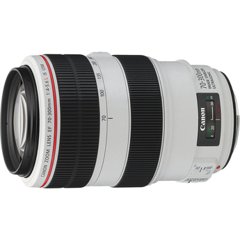 Canon EF 70-300mm f/4-5.6L IS USM Review | Fro Knows Photo