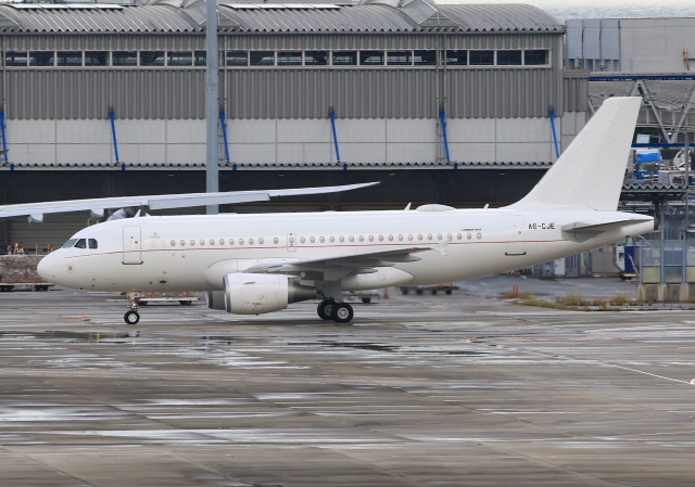 エアバスA319-115CJ 製造番号:4822 徹底ガイド | FlyTeam(フライチーム)