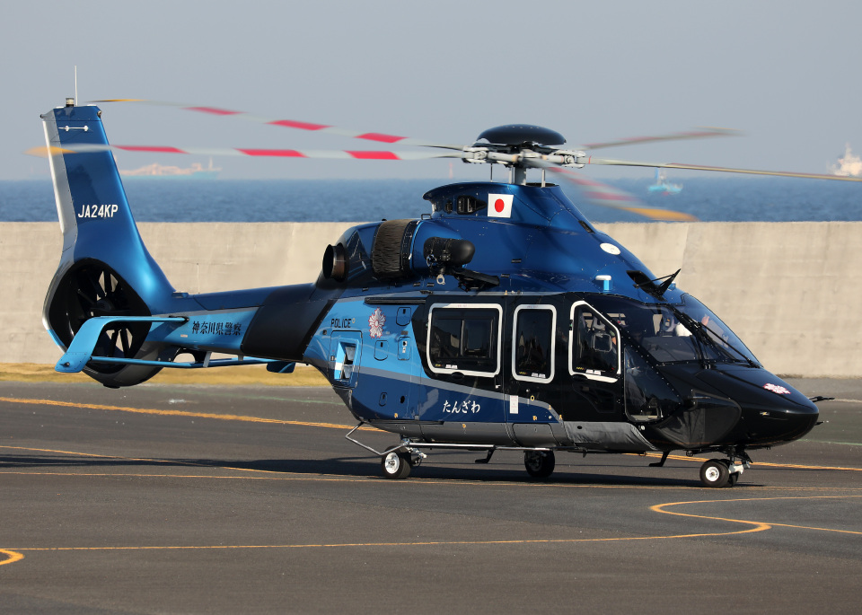 航空機・ヘリコプター JCwings Airbus 340-600 1/200 Amazon | JC